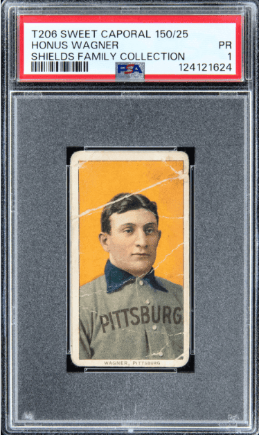 shields wagner